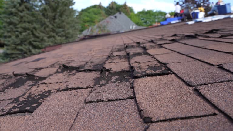 Best Roof Leak Repair  in Aurora, MN