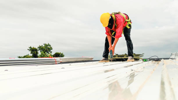 Best Roof Waterproofing  in Aurora, MN