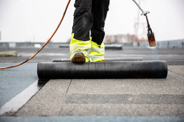 Best Asphalt Shingle Roofing  in Aurora, MN