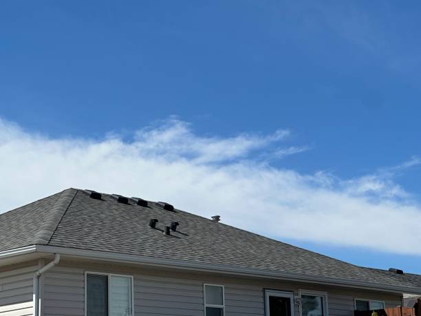 Best Green or Eco-Friendly Roofing Solutions  in Aurora, MN